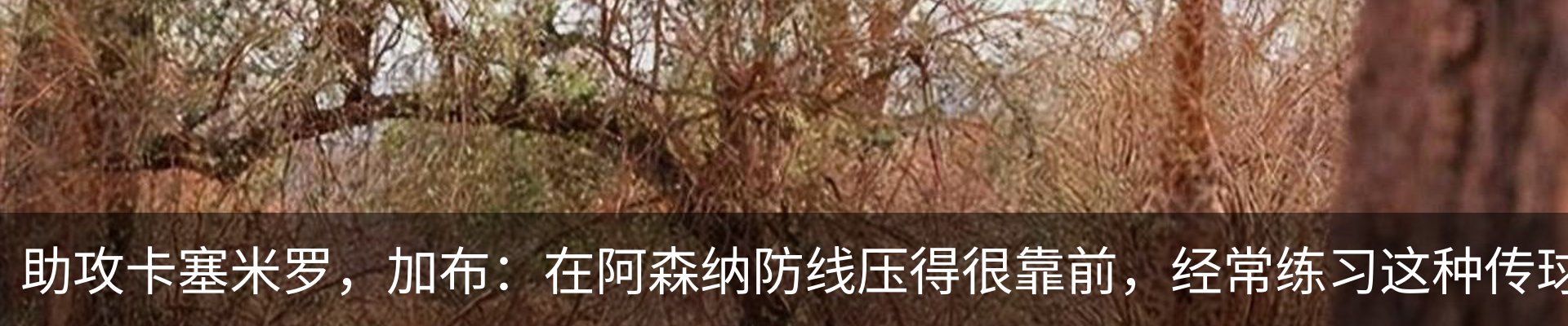 行业资讯